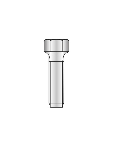 4281 - Special screws for clamps