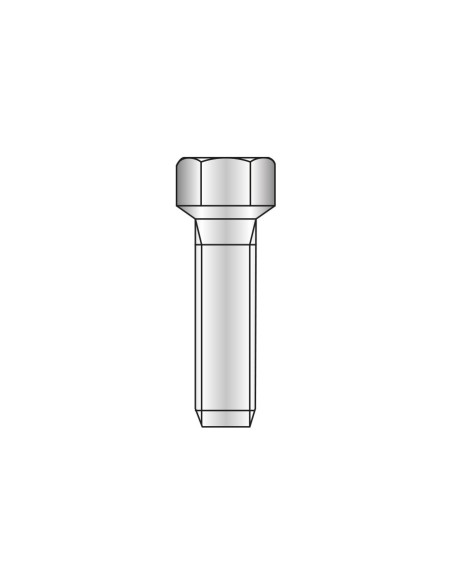 4281 - Special screws for clamps