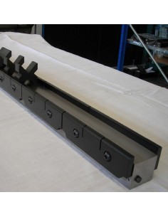 Model P-DHOLD